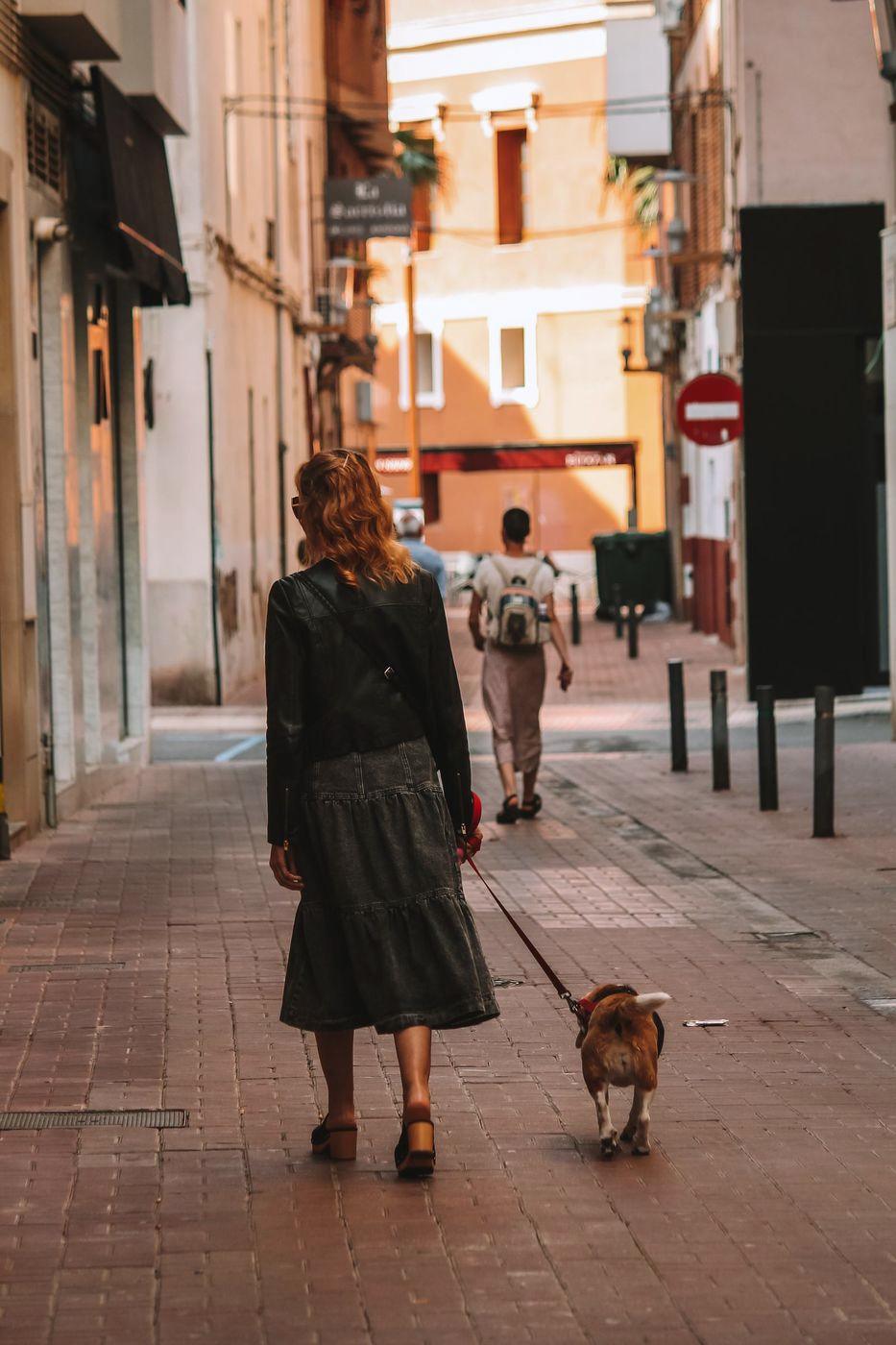 A woman walking a small dog down a sunlit old-town street